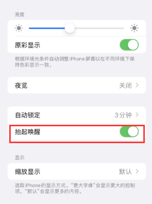 盐亭苹果授权维修站分享iPhone轻点无法唤醒怎么办