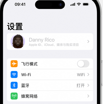 盐亭appleID维修服务iPhone设置中Apple ID显示为灰色无法使用 