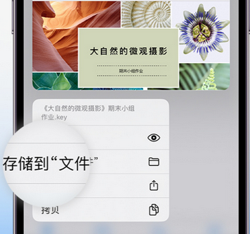 盐亭apple维修中心分享iPhone文件应用中存储和找到下载文件