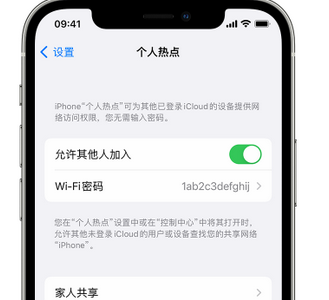 盐亭apple服务站点分享iPhone上个人热点丢失了怎么办 