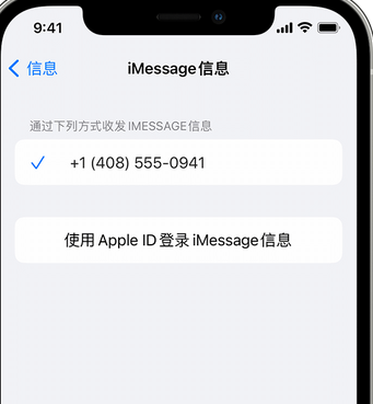 盐亭apple维修iPhone上无法正常发送iMessage信息 