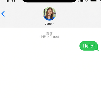 盐亭apple维修iPhone上无法正常发送iMessage信息