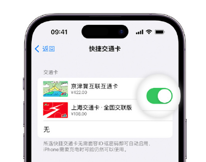 盐亭apple维修点分享iPhone上更换Apple Pay快捷交通卡手绘卡面 