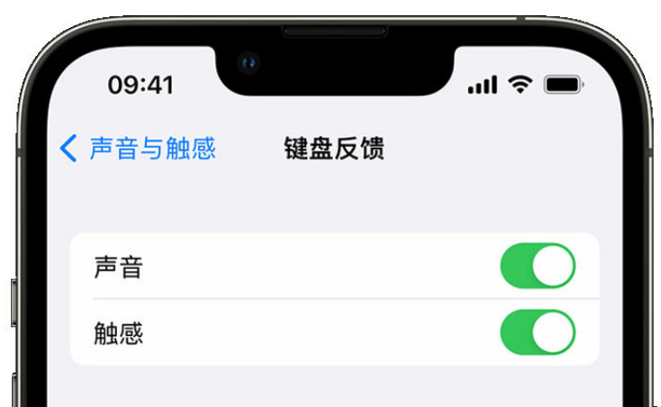盐亭苹果手机维修分享iPhone 14触感键盘使用方法 