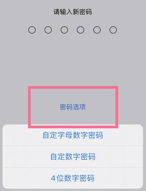 盐亭苹果14维修分享iPhone 14plus设置密码的方法 