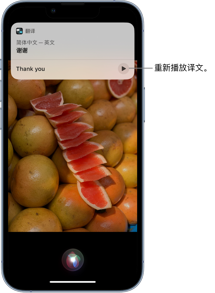 盐亭苹果14维修分享 iPhone 14 机型中使用 Siri：了解 Siri 能帮你做什么 