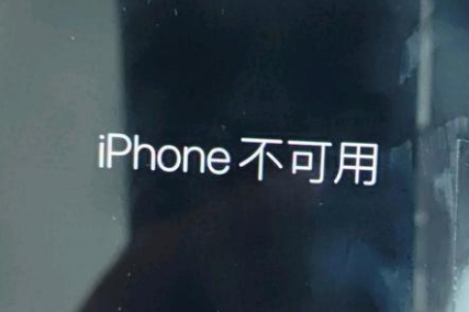 盐亭苹果服务网点分享锁屏界面显示“iPhone 不可用”如何解决 