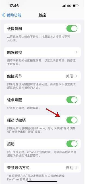 盐亭苹果手机维修分享iPhone手机如何设置摇一摇删除文字 