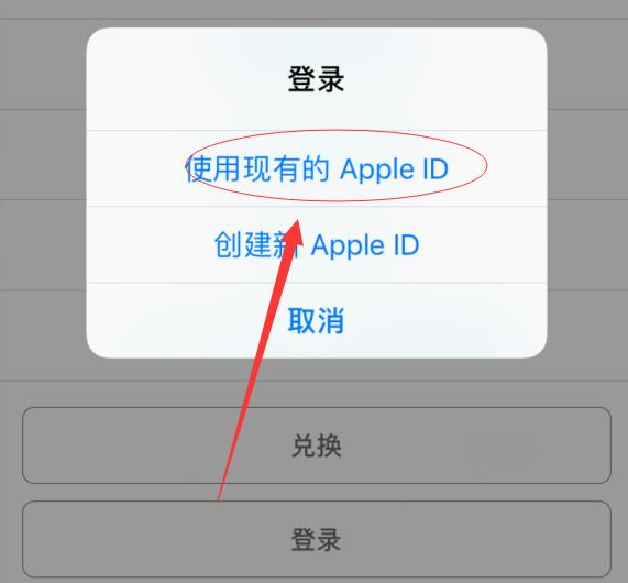 盐亭苹果手机维修分享两台iPhone设备可以同时登录一个Apple ID吗 
