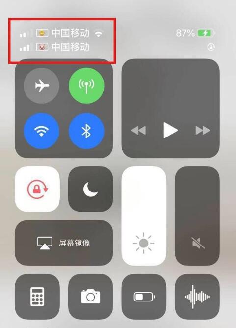 盐亭苹果手机维修分享为 iPhone 12 双卡设置标签 