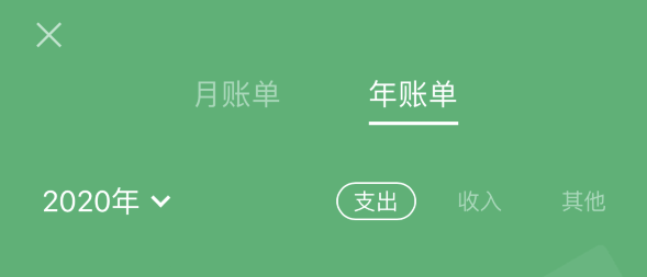 盐亭苹果手机维修分享如何在 iPhone 上查看支付宝和微信年支出账单 