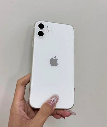 盐亭苹果维修点分享iPhone 11黑屏特殊场景解析 